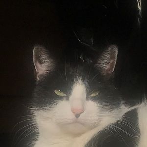 Meet your Posher, Bre